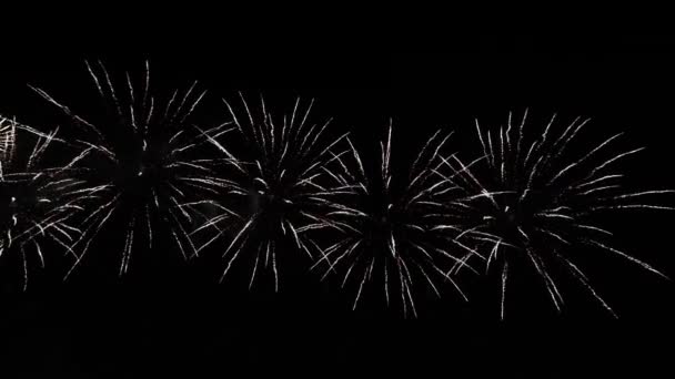 Espectáculo de fuegos artificiales abstractos en el profundo cielo nocturno negro — Vídeo de stock