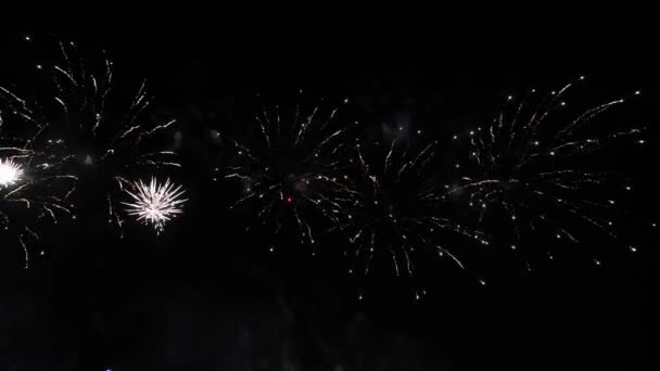 Espectáculo de fuegos artificiales abstractos en el profundo cielo nocturno negro — Vídeo de stock