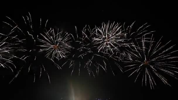4K felvétel tűzijáték a sötét éjszakai égbolton — Stock videók