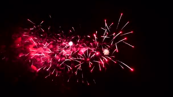 4K abstraktes Feuerwerk isoliert auf tiefschwarzem Hintergrund — Stockvideo