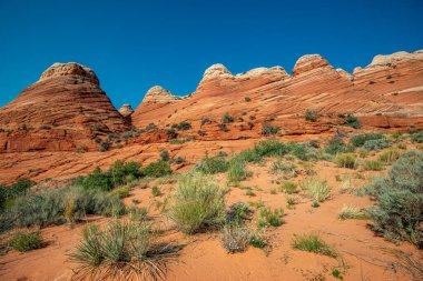 Arizona Wave - Pariah Canyon 'da ünlü jeoloji kaya oluşumu