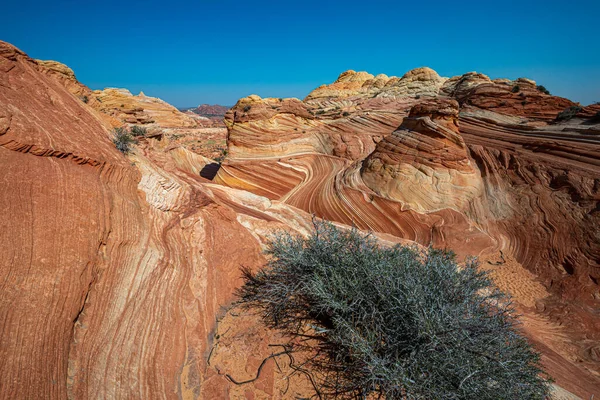 Arizona Wave - Famous Geology rock formation in Pariah Canyon — Stock Photo, Image