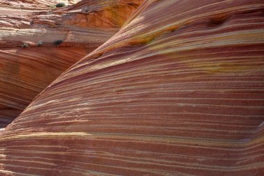 Arizona Wave - Pariah Canyon 'da ünlü jeoloji kaya oluşumu