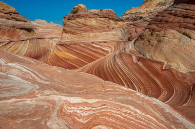 Arizona Wave - Pariah Canyon 'da ünlü jeoloji kaya oluşumu