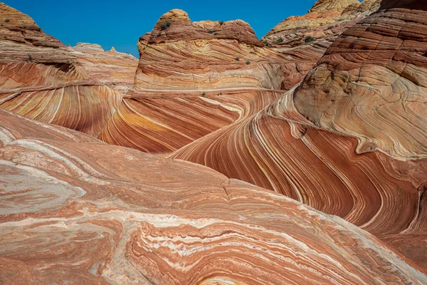 Arizona Wave - Famosa formación de rocas geológicas en el Cañón Pariah —  Fotos de Stock