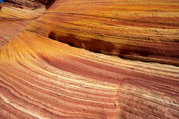 Arizona Wave - Sławna formacja skalna geologiczna w kanionie Pariah — Zdjęcie stockowe