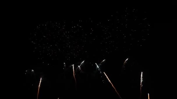 4K echte abstracte vuurwerk show op diepe zwarte nacht hemel — Stockvideo