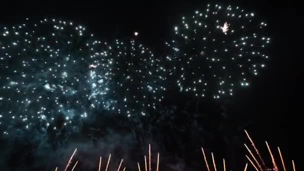 4K real abstract fireworks show on deep black night sky — Stock Video