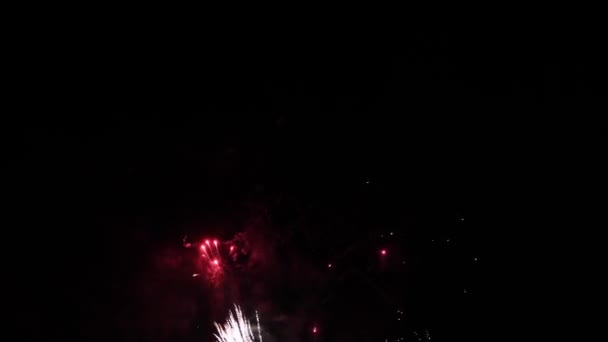 4K real abstract fireworks show on deep black night sky — Stock Video