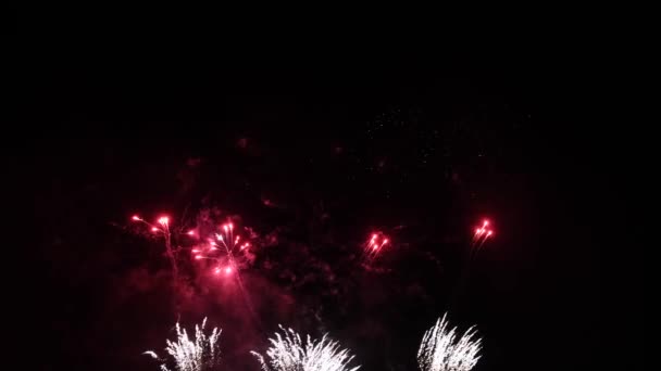 4K real abstract fireworks show on deep black night sky — Stock Video