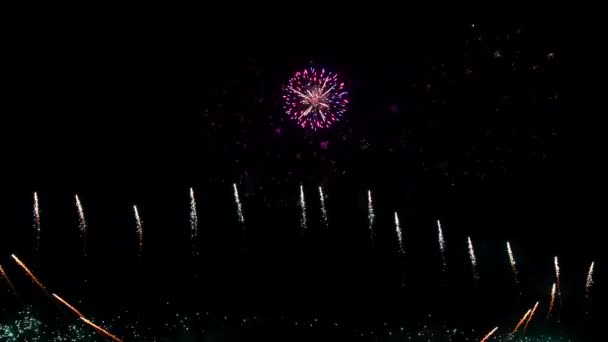 Fuochi d'artificio nel cielo notturno — Video Stock