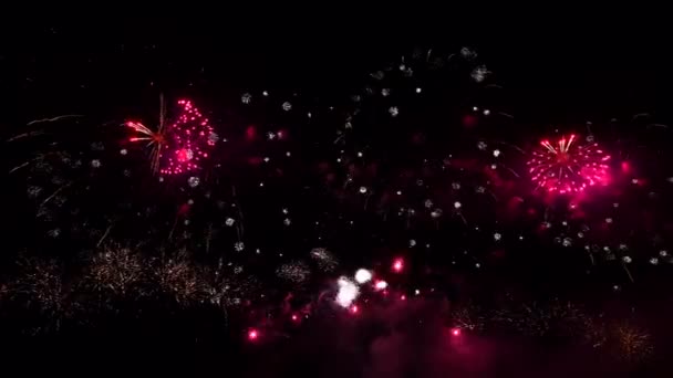 Tűzijáték az éjszakai égen — Stock videók
