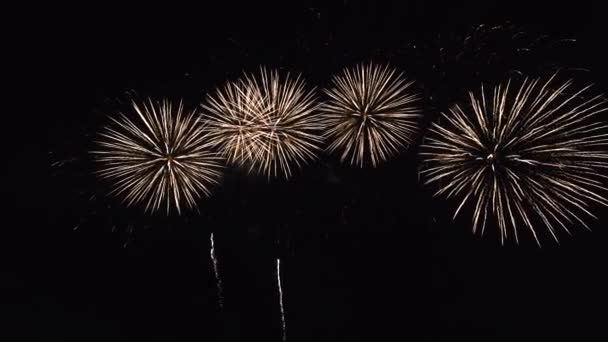 Fogos de artifício no céu noturno — Vídeo de Stock