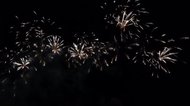 Um grupo de fogos de artifício no céu — Vídeo de Stock