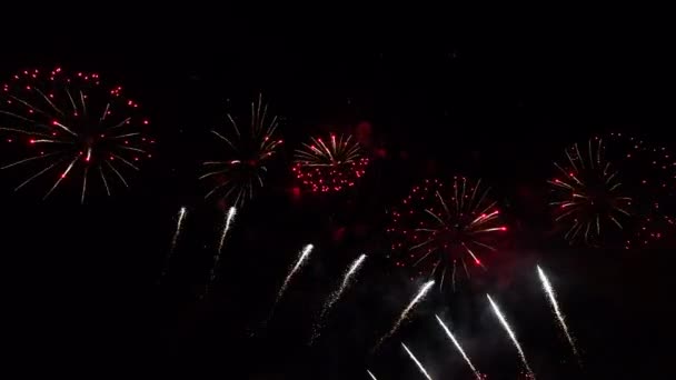 Um grupo de fogos de artifício no céu — Vídeo de Stock