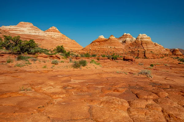 Arizona Wave - Famosa formação geológica rock em Pariah Canyon Fotografias De Stock Royalty-Free