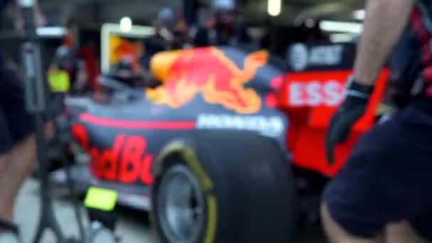 Red Bull Racing Team Fórmula 1, Max Verstappen crew during Pit Stop Training — Vídeos de Stock