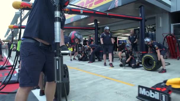 Red Bull Racing Team Fórmula 1, Max Verstappen crew during Pit Stop Training — Vídeo de stock