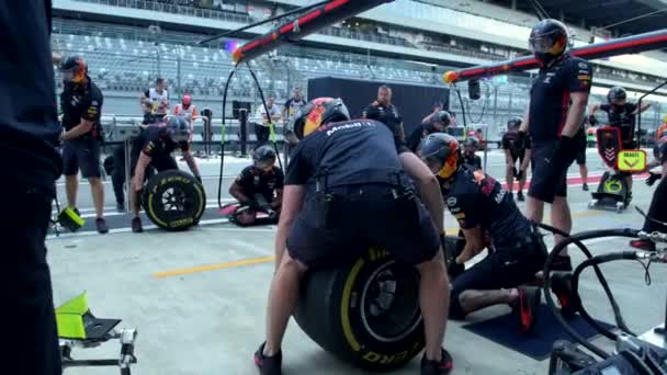Red Bull Racing Team Formula 1 、ピットストップトレーニング中のMax Verstappenクルー — ストック動画