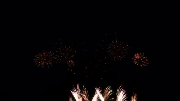 Fuochi d'artificio nel cielo notturno, isolati su sfondo nero — Video Stock