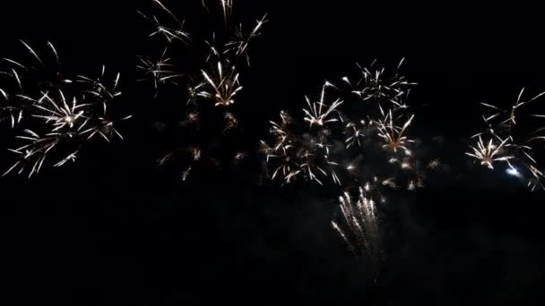 Vuurwerk in de nachtelijke hemel, geïsoleerd op zwarte achtergrond — Stockvideo