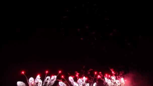 Барвисті феєрверки в нічному небі, річниця незалежності — стокове відео
