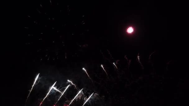 Színes tűzijáték az éjszakai égen, elszigetelt háttér — Stock videók