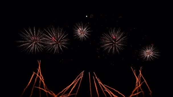 Espectáculo real de fuegos artificiales abstractos, día de independencia 4 de julio , — Vídeo de stock