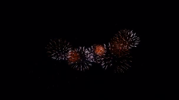 Vuurwerk in de nachtelijke hemel, geïsoleerd op zwarte achtergrond — Stockvideo