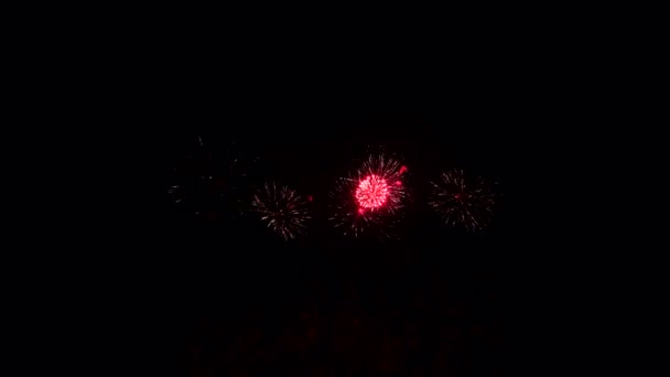 Fuochi d'artificio nel cielo notturno, isolati su sfondo nero — Video Stock