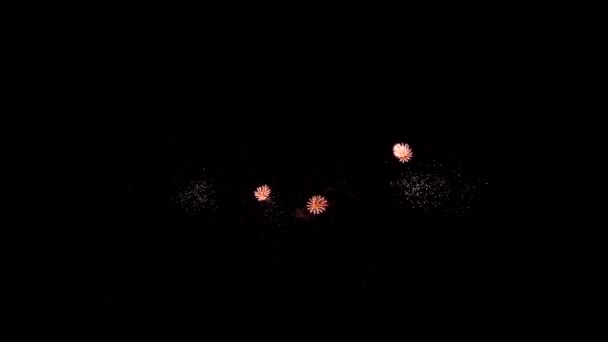 Feux d'artifice dans le ciel nocturne, isolé sur fond noir — Video