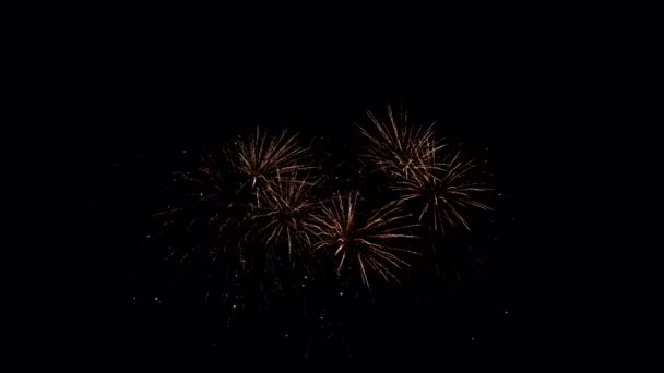 Абстрактное шоу фейерверков в ночном небе, изолированное на черном фоне — стоковое видео