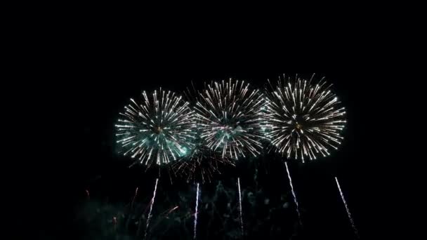 Feuerwerk am Nachthimmel, isoliert auf schwarzem Hintergrund — Stockvideo