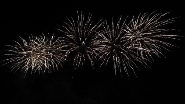 Spectacle de feux d'artifice dans le ciel nocturne, isolé sur fond noir — Video