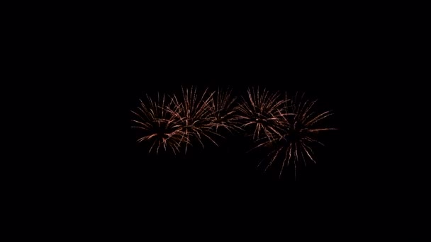Různé ohňostroje na noční obloze, izolované na černém pozadí — Stock video