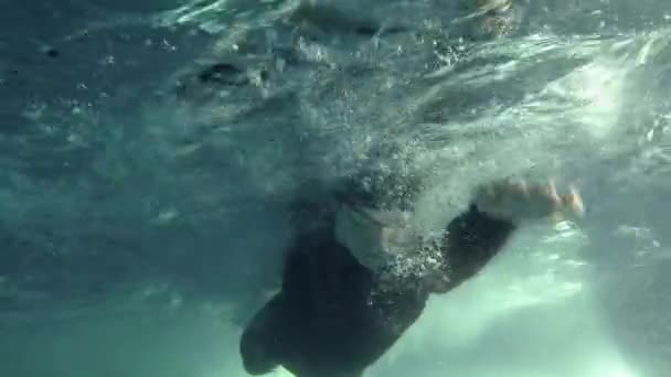 Υποβρύχια θέα επαγγελματίας Τριαθλητής κολύμπι στην πισίνα. δράση κατάρτισης τριάθλου — Αρχείο Βίντεο