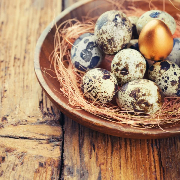 Quail Eggs with one gold — Stock Photo, Image