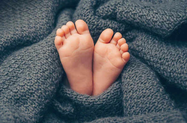 Newborn baby feet covered in grey knitted blanket — Stock Photo, Image
