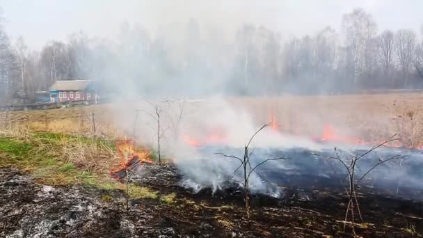Incendie dans le champ près de la maison 