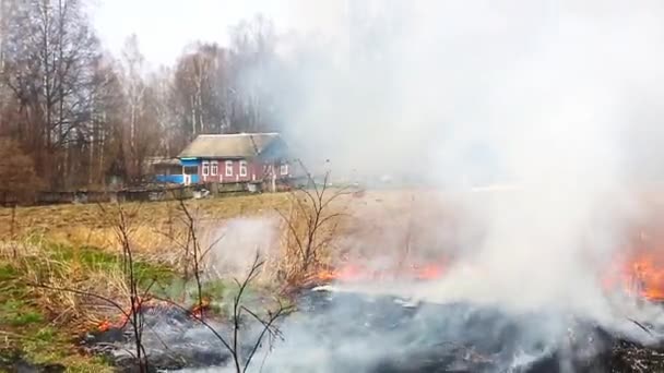 Fogo selvagem no campo perto da casa — Vídeo de Stock