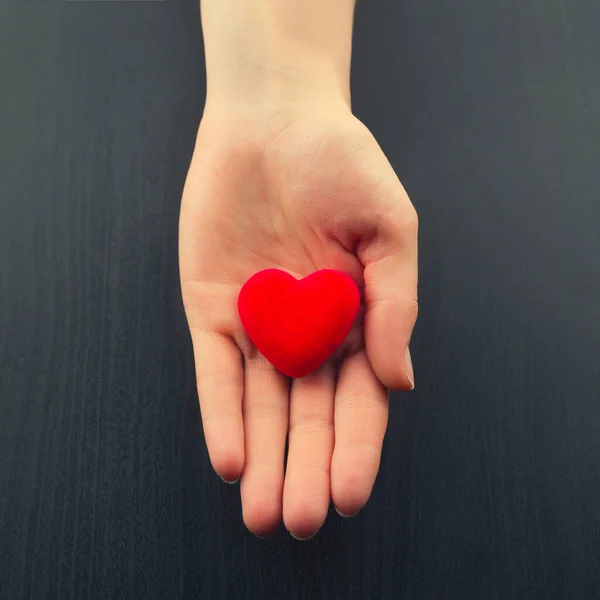Mano femenina sosteniendo pequeño corazón rojo — Foto de Stock