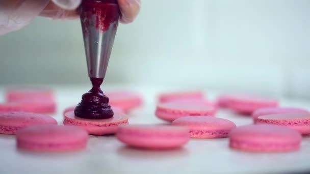 Proces van het maken van macaron macaroon, Frans dessert, knijpen in de deegvorm kookzak — Stockvideo