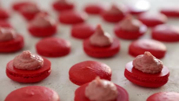 Vue rapprochée de nombreuses rangées de moitiés rouges ouvertes avec macarons de remplissage macaron sur fond blanc. Dessert classique français . — Video