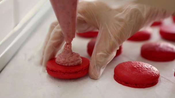 Procédé de fabrication du macaron macaron, dessert français, pressage du sac de cuisson en forme de pâte