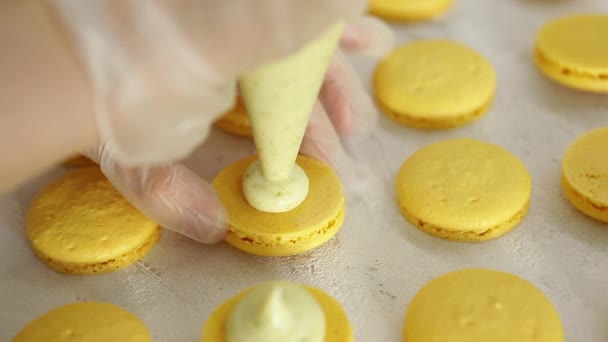 Proceso de hacer macarrón macaroon, postre francés, exprimir la bolsa de cocina de forma de masa — Vídeo de stock