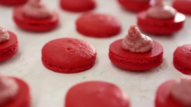 Vue rapprochée de nombreuses rangées de moitiés rouges ouvertes avec macarons de remplissage macaron sur fond blanc. Dessert classique français .