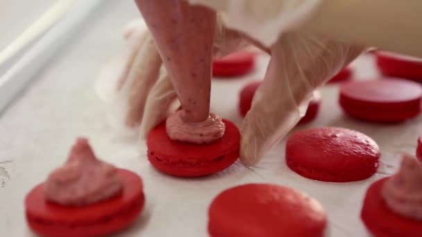 Procédé de fabrication du macaron macaron, dessert français, pressage du sac de cuisson en forme de pâte