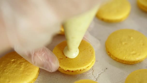 Processo di fabbricazione di macaron, dessert francese, spremitura del sacchetto di cottura della forma di pasta — Video Stock