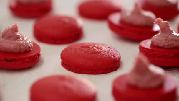 Vue rapprochée de nombreuses rangées de moitiés rouges ouvertes avec macarons de remplissage macaron sur fond blanc. Dessert classique français .