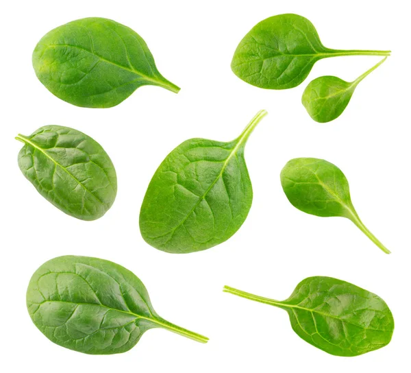 Свежий зеленый шпинат листья изолированы на белом фоне — стоковое фото